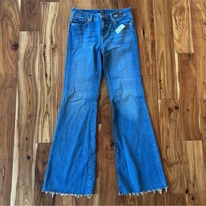 Express ‘70s Flare Low Rise Jeans